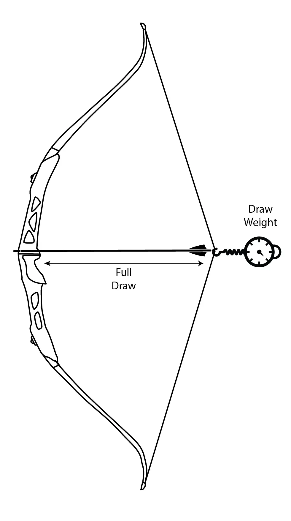Bow Draw Weight